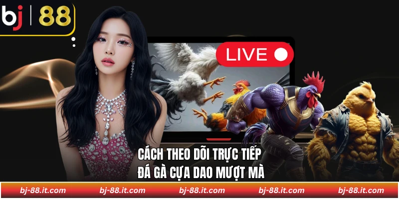 Cách theo dõi trực tiếp đá gà cựa dao mượt mà