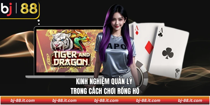 Kinh nghiệm quản lý trong cách chơi rồng hổ