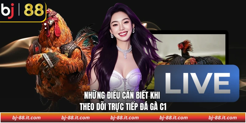 Những điều cần biết khi theo dõi trực tiếp đá gà C1