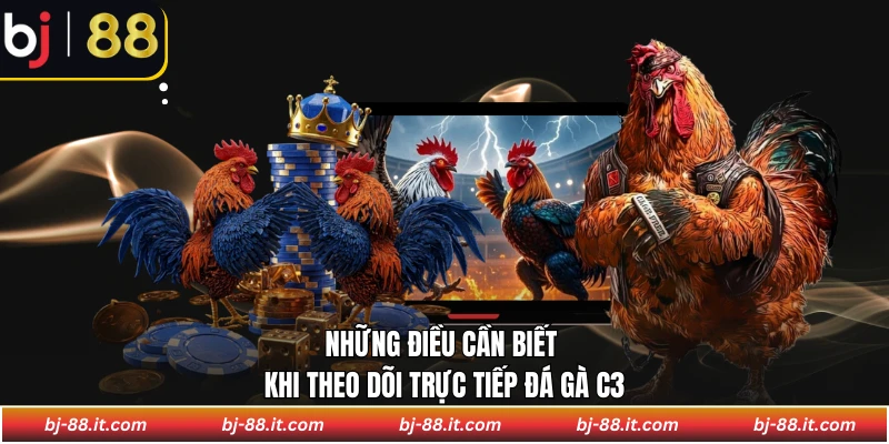 Những điều cần biết khi theo dõi trực tiếp đá gà C3
