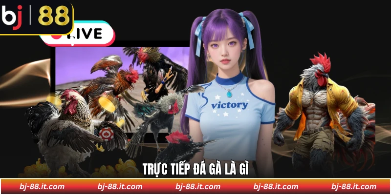 Trực tiếp đá gà là gì?