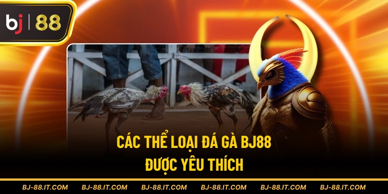 Các thể loại đá gà BJ88 được yêu thích