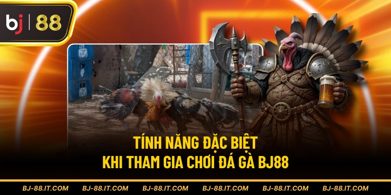 Tính năng đặc biệt khi tham gia chơi đá gà BJ88